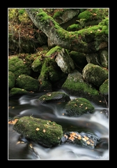 Národní park Šumava